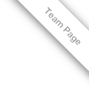 Team_page